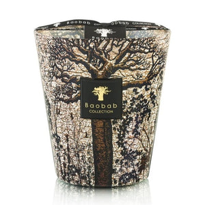 Sacred Trees Morondo Candle