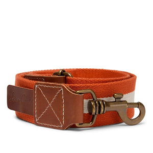 Dog Collar / Large