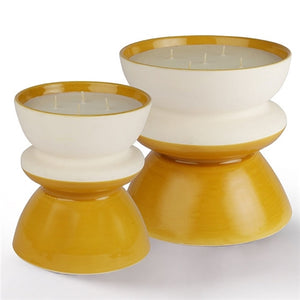 Tamtam Bicolor / Saffron Yellow