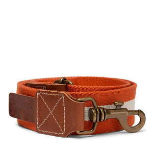 Dog Collar / Medium