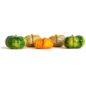 Ceramic Table Décor Squash (Set of 5)