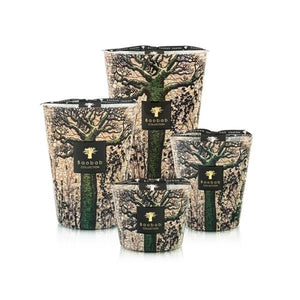 Sacred Trees Kani Candle