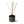 Zebre Diffuser