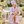 Bongusta Naram Adult Bathrobe in Lavender