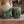 Candle Tamegroute Verte Menthe & Thé