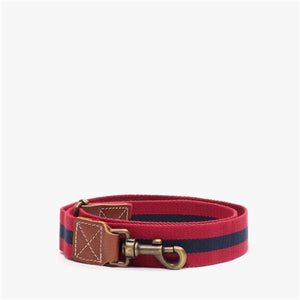 Dog Collar / Medium
