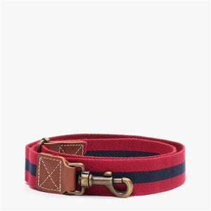 Dog Collar / Large