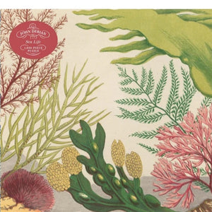 John Derian - 1000 Piece Puzzle