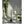 Bloom Garden Candle 12