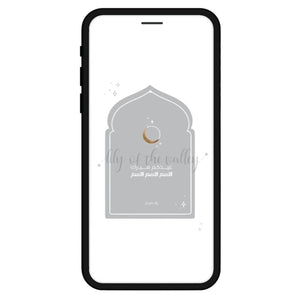 E - Message 2024 / 17