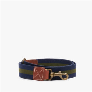 Dog Collar / Medium