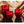 Onno Majestic Red
