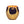 Onno Cape Gold