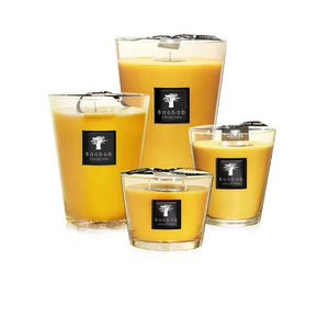 Zanzibar Spices Luster Candle