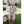 Naram Adult Bathrobe