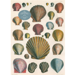 John Derian - 1000 Piece Puzzle